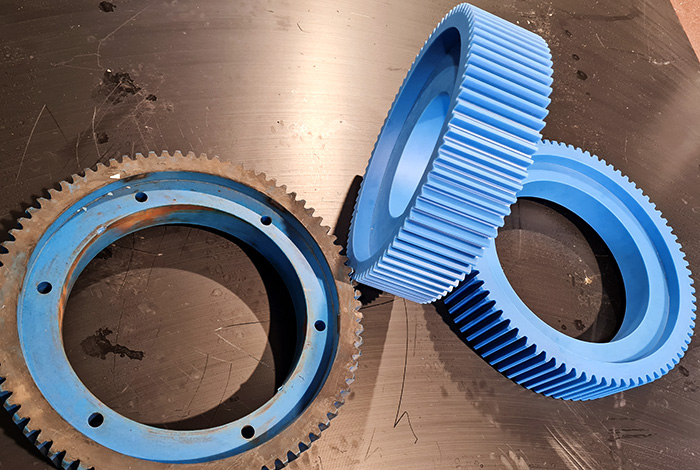 GEARS FOR PAPER INDUSTRY – BLUE NYLON